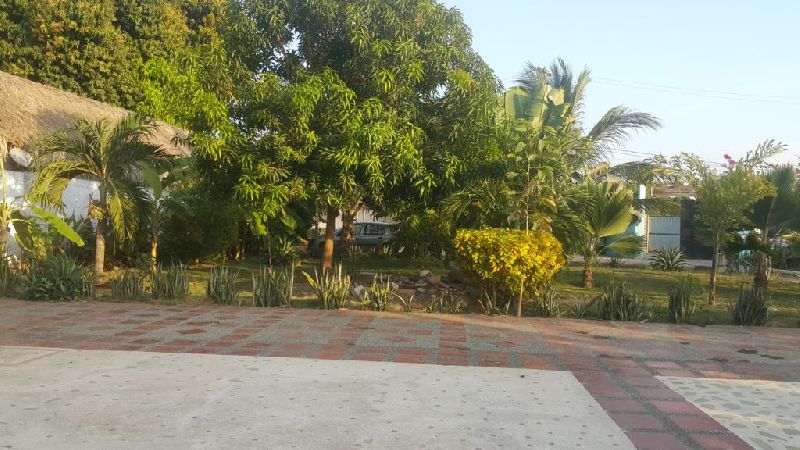 Foto 19