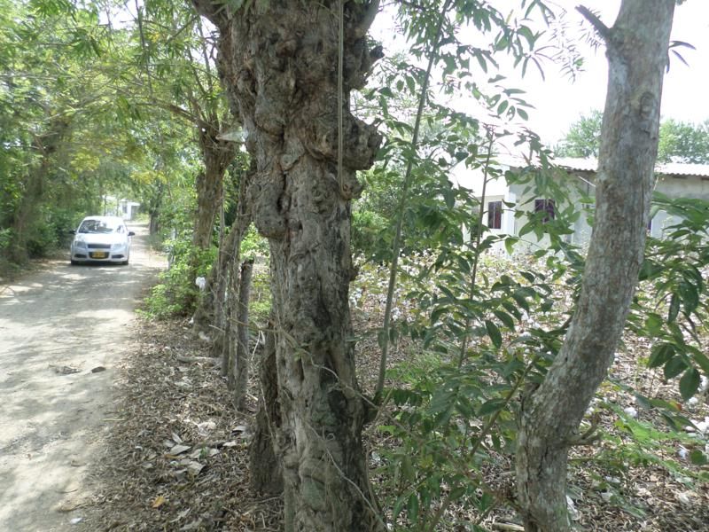 Foto 6