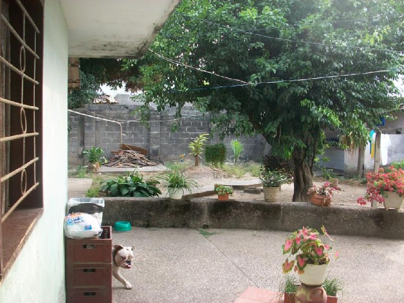 Foto 10