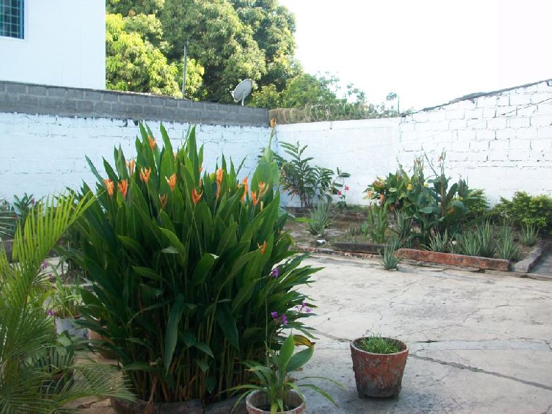 Foto 15