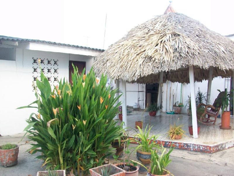 Foto 19