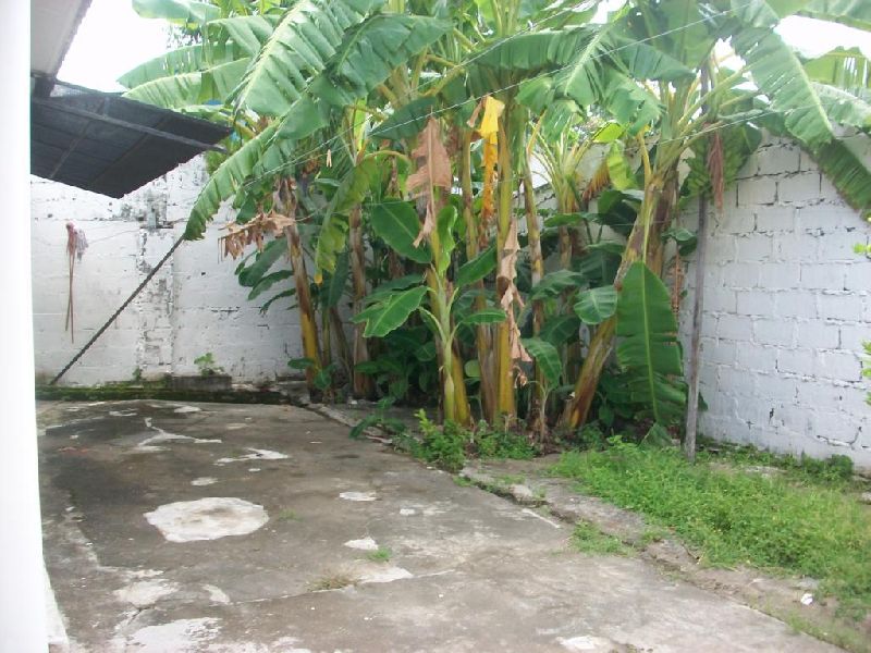 Foto 18