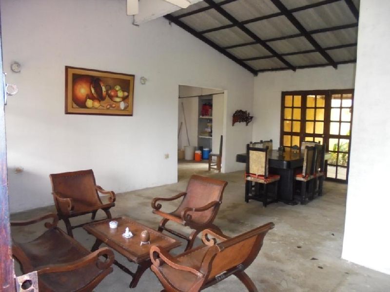 Foto 5