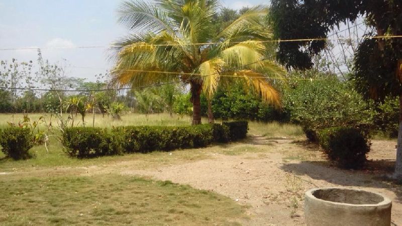 Foto 8
