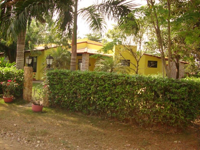 Foto 14