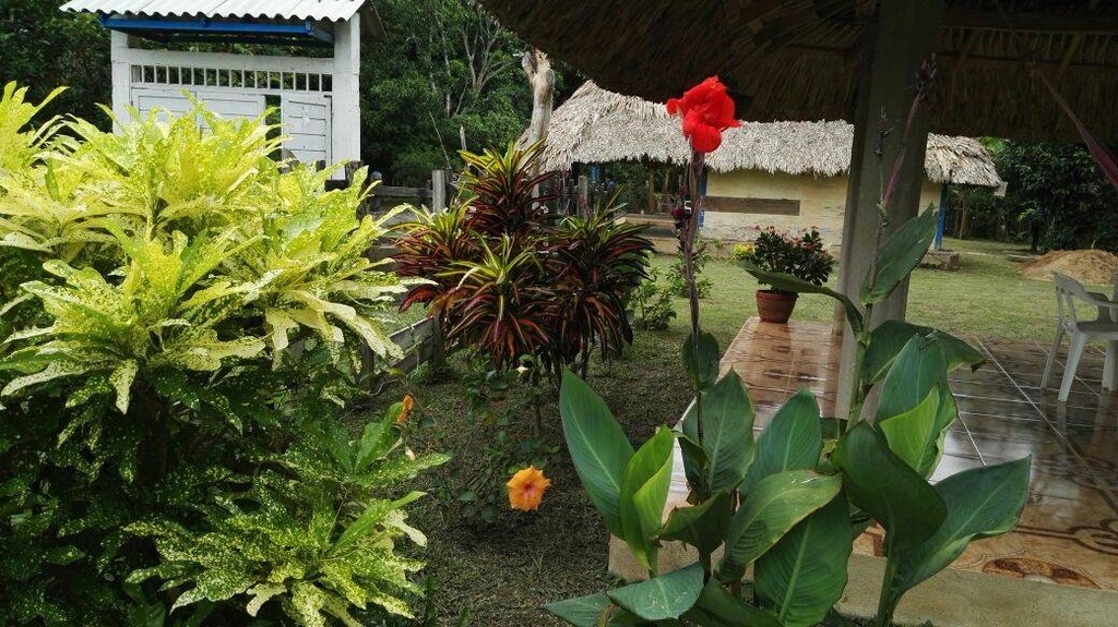 Foto 9