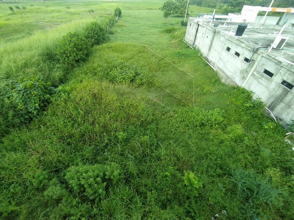 Foto 3