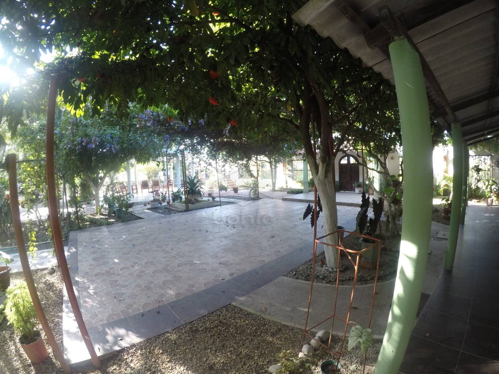 Foto 6