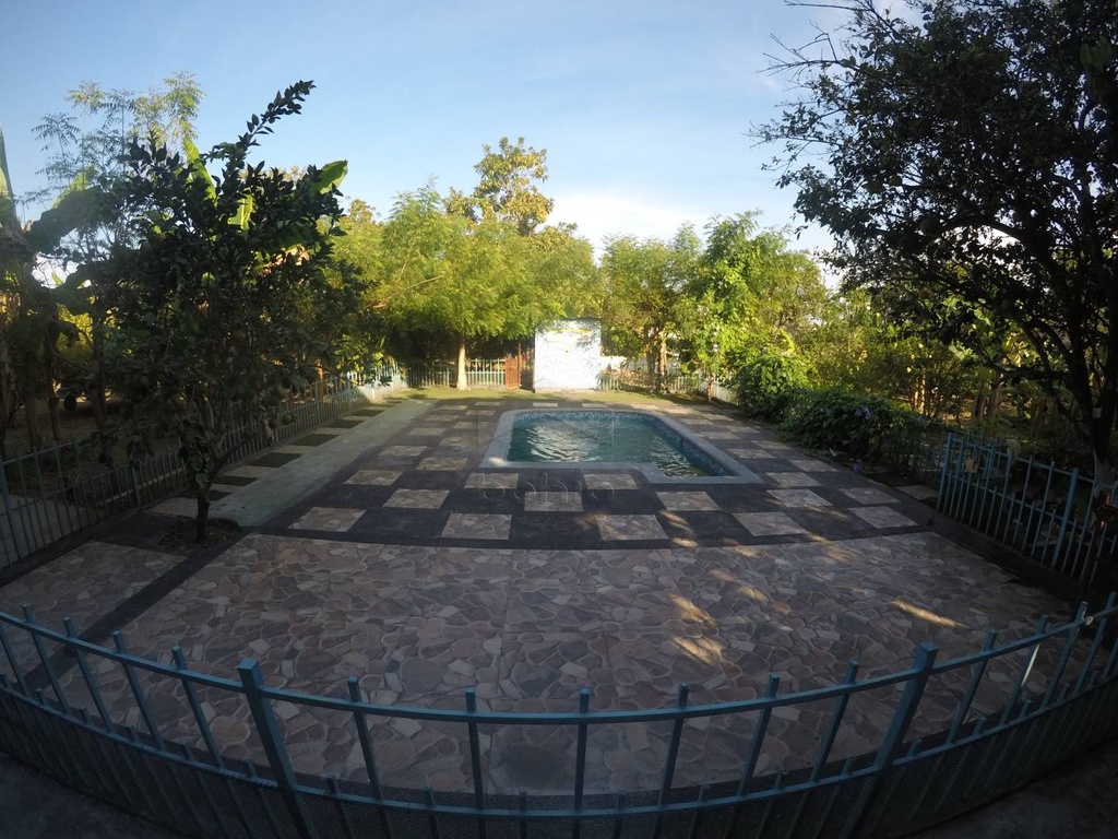 Foto 10