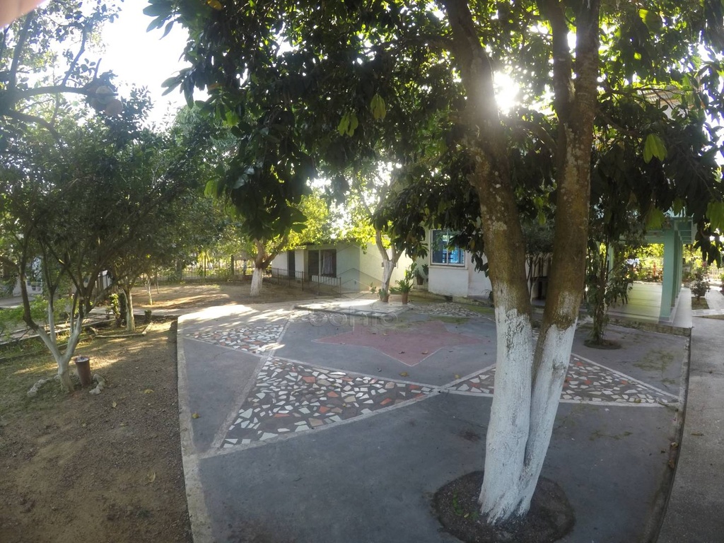 Foto 11