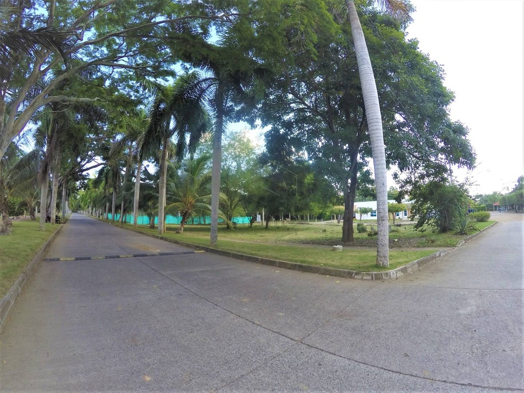 Foto 13