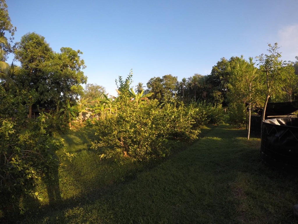 Foto 44