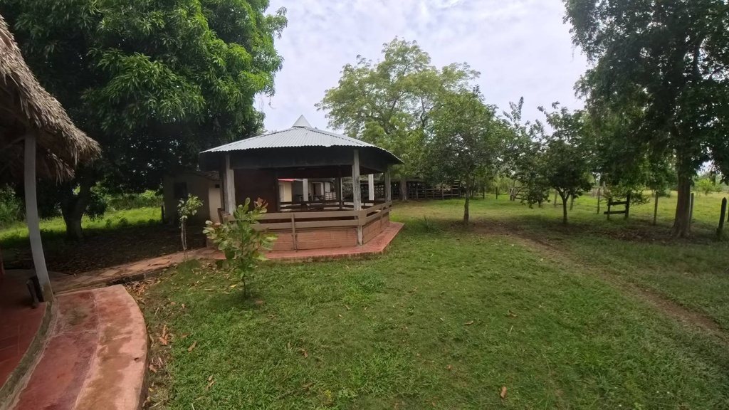 Foto 5