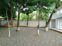 Foto 34