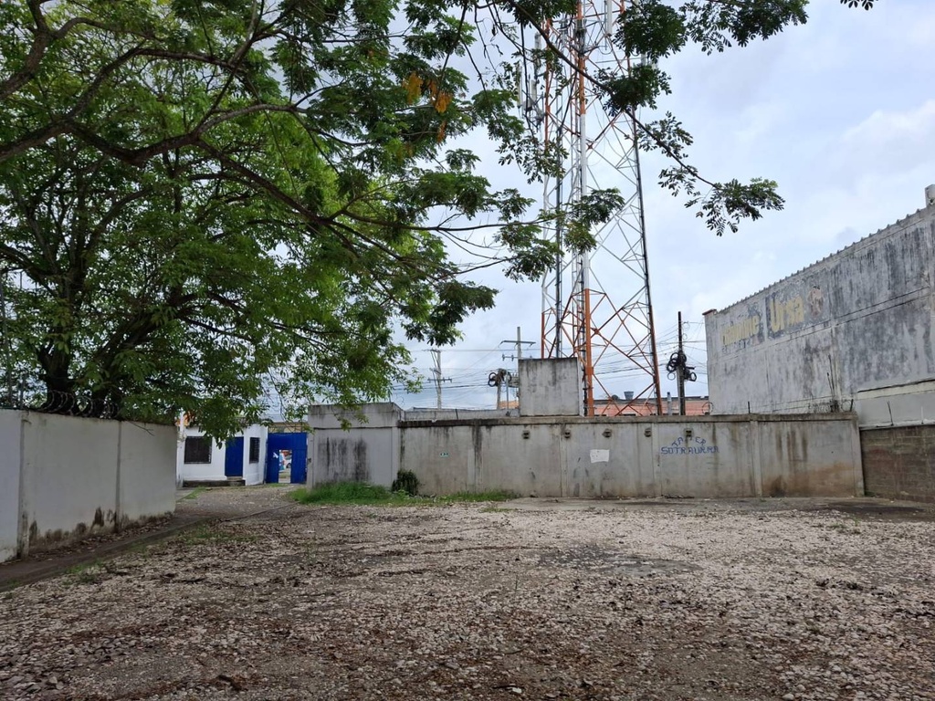 Foto 5