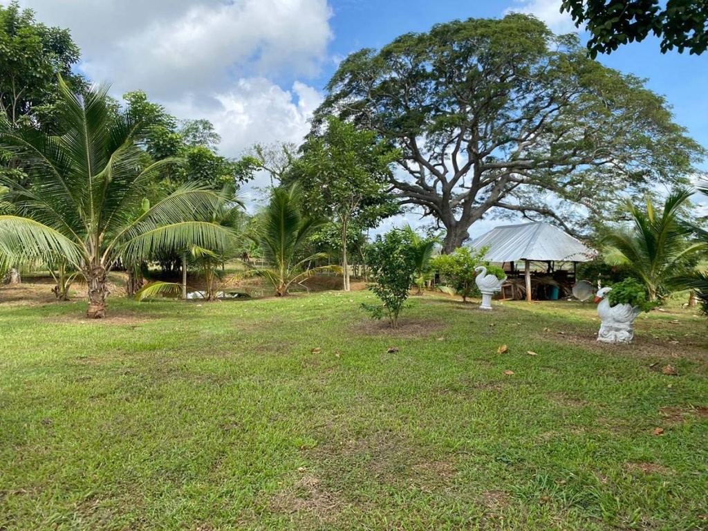 Foto 15