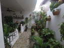 Foto 30