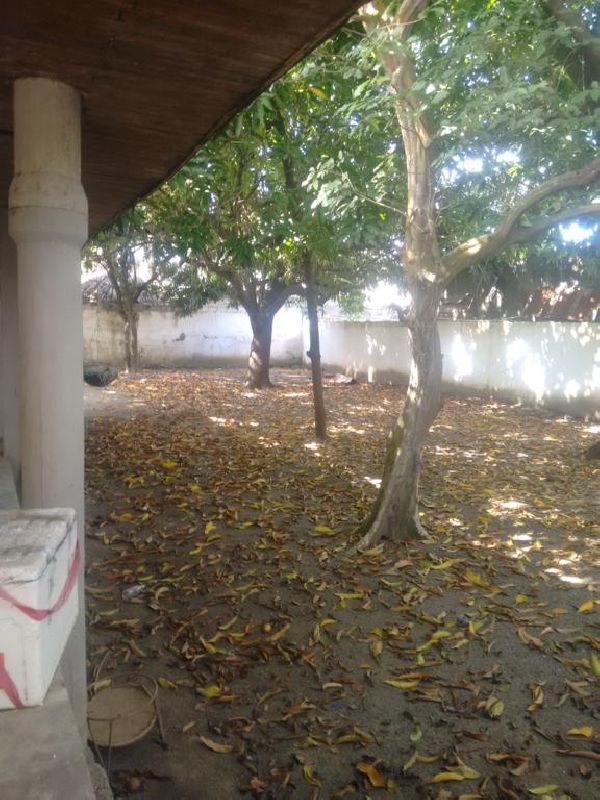 Foto 10