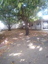 Vendo Casa Lote En Montería - Centro