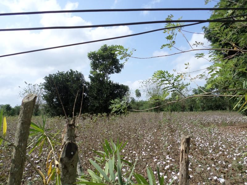 Venta de lote