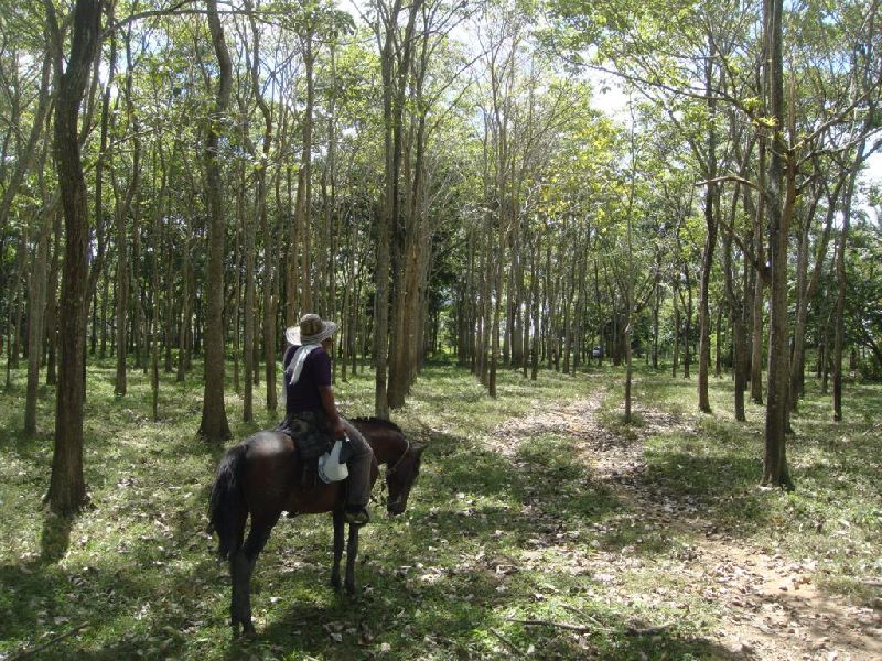 VENTA DE FINCA