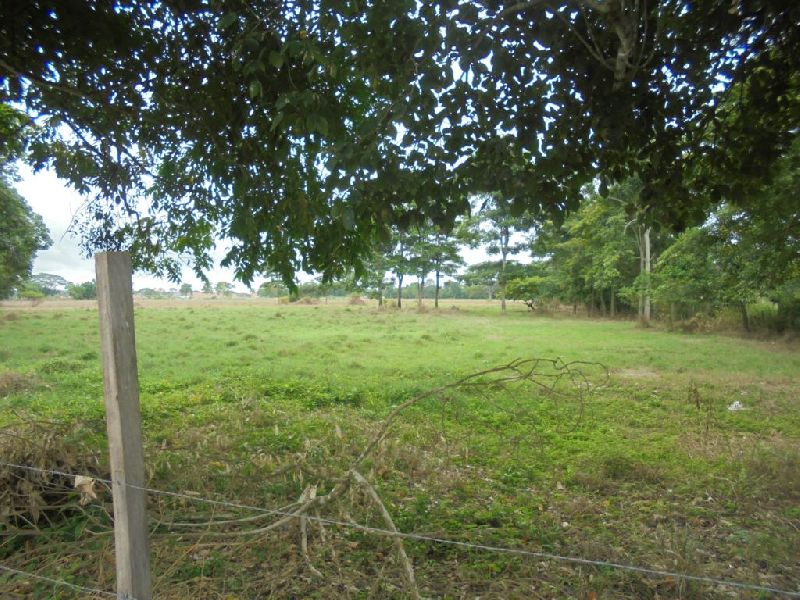 VENTA DE LOTE VÍA LOS PERICOS