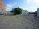 LOTE